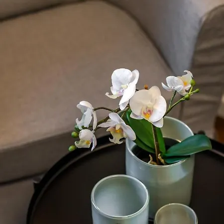 Luxury Mareta سبليت